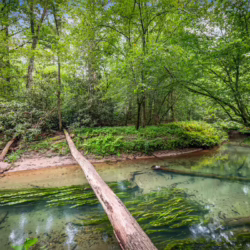 north georgia cabin with pool