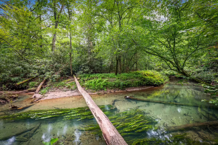 north georgia cabin with pool