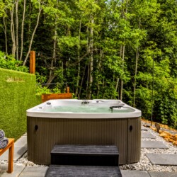 fontana lake cabins