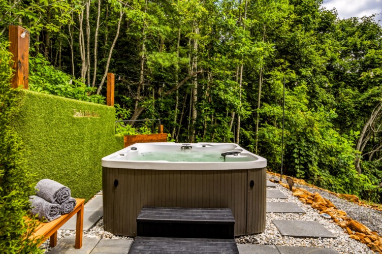 fontana lake cabins