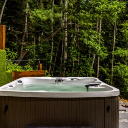 fontana lake cabins