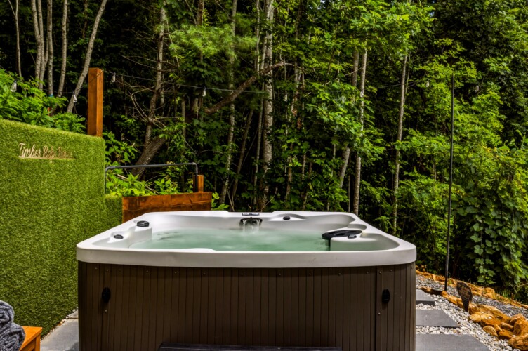 fontana lake cabins