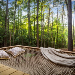 blue ridge cabin rentals pet friendly