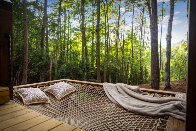 blue ridge cabin rentals pet friendly