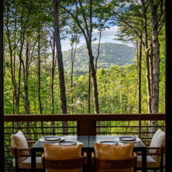blue ridge cabin rentals pet friendly