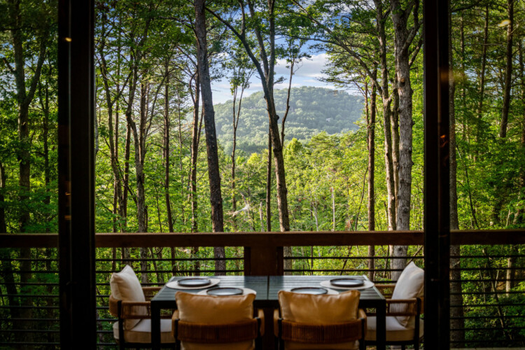 blue ridge cabin rentals pet friendly