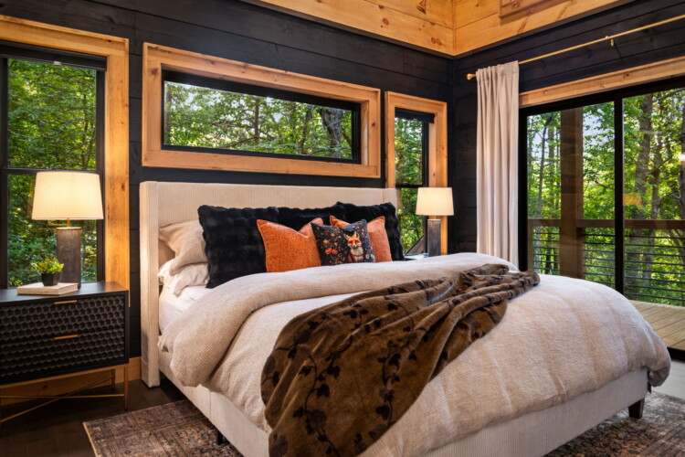 blue ridge cabin rentals pet friendly