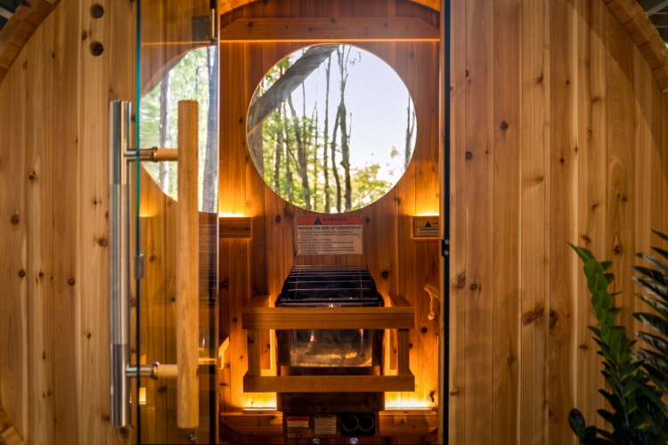 blue ridge cabin rentals pet friendly