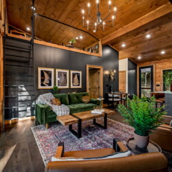 blue ridge cabin rentals pet friendly