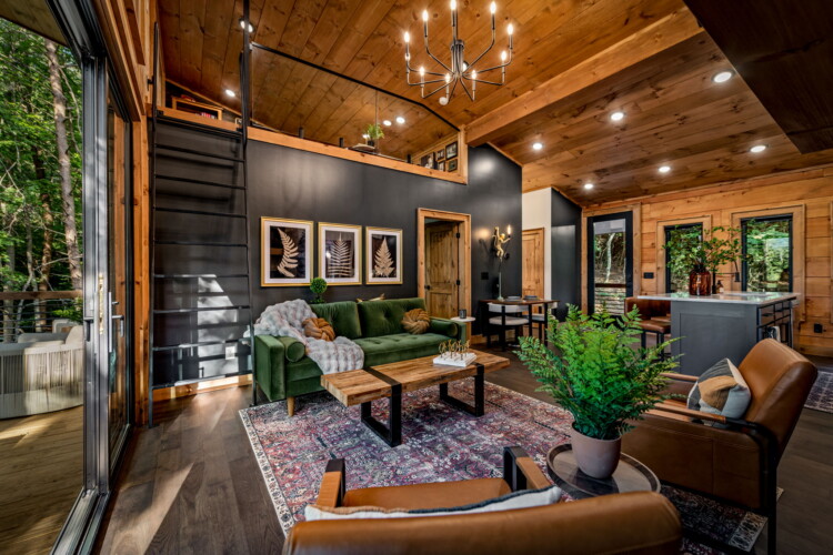 blue ridge cabin rentals pet friendly