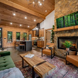 blue ridge cabin rentals pet friendly