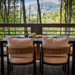 blue ridge cabin rentals pet friendly