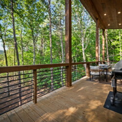 blue ridge cabin rentals pet friendly