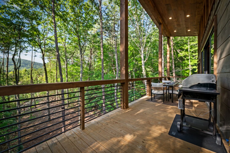 blue ridge cabin rentals pet friendly