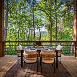 blue ridge cabin rentals pet friendly