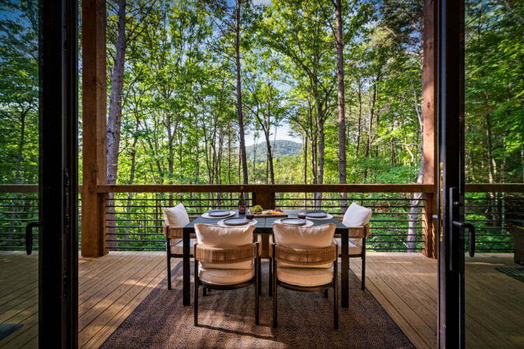 blue ridge cabin rentals pet friendly