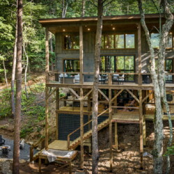 blue ridge cabin rentals pet friendly