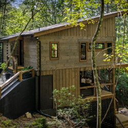 blue ridge cabin rentals pet friendly
