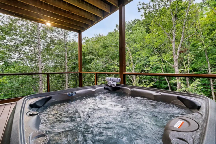 pet frienldy cabins in smoky mountains