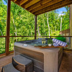 pet frienldy cabins in smoky mountains