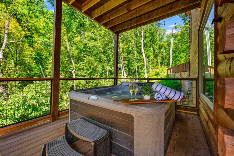 pet frienldy cabins in smoky mountains