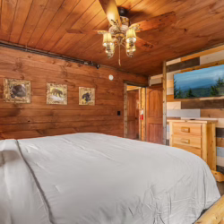 pet frienldy cabins in smoky mountains