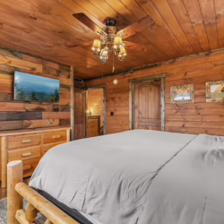 pet frienldy cabins in smoky mountains