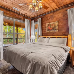 pet frienldy cabins in smoky mountains