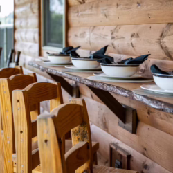 pet frienldy cabins in smoky mountains