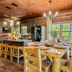 pet frienldy cabins in smoky mountains