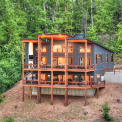 north georgia pet friendly cabin rentals