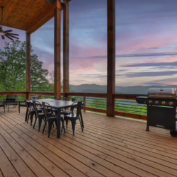north georgia pet friendly cabin rentals