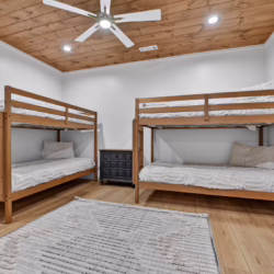 north georgia pet friendly cabin rentals