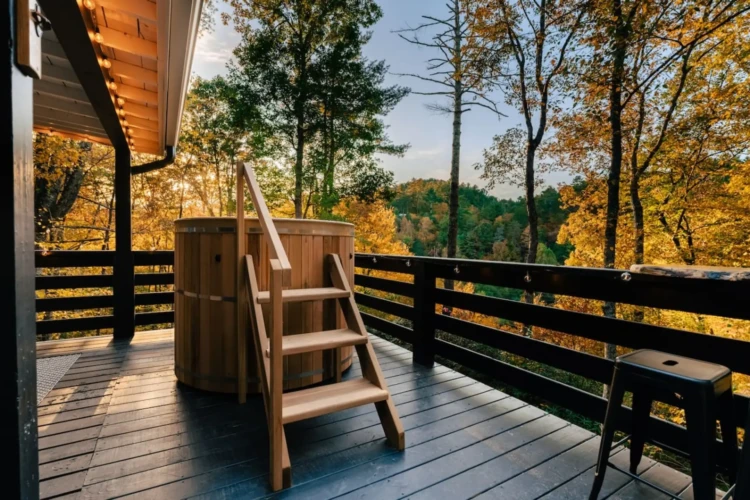 treetop cabins near me north georgia