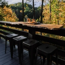 treetop cabins near me north georgia