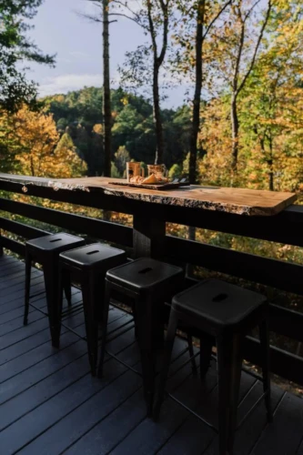 treetop cabins near me north georgia