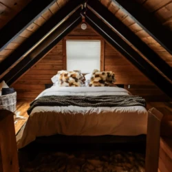 treetop cabins near me north georgia