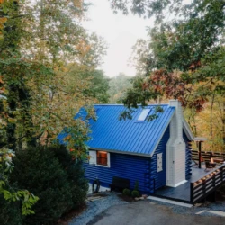 treetop cabins near me north georgia