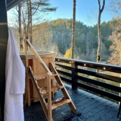 treetop cabins near me north georgia