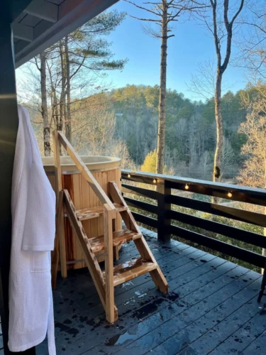 treetop cabins near me north georgia