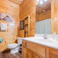 cabins near pigeon forge