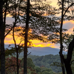 best luxury cabins in georgia