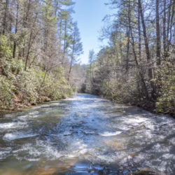 cabins on fightingtown creek