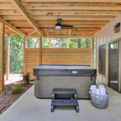 cabins in ellijay for rent