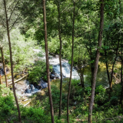 cabins in ellijay for rent