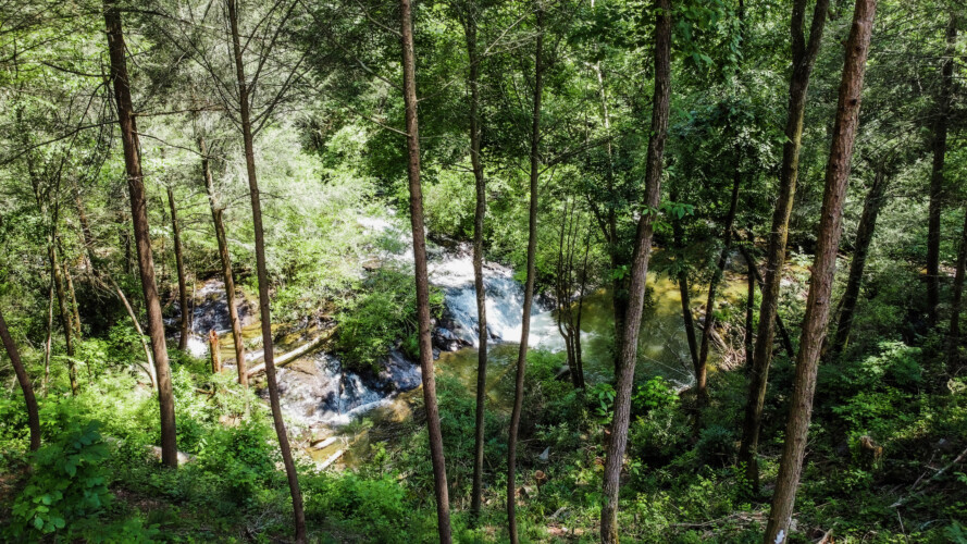 cabins in ellijay for rent