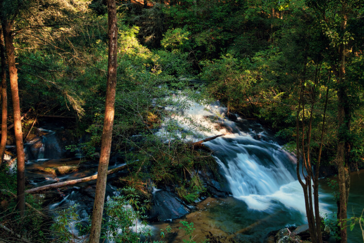 cabins in ellijay for rent