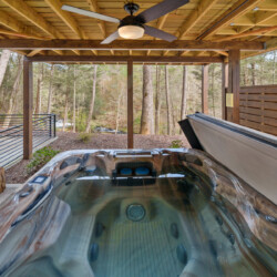 cabins in ellijay for rent