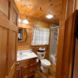 helen ga cabin rentals pet friendly