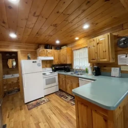 helen ga cabin rentals pet friendly